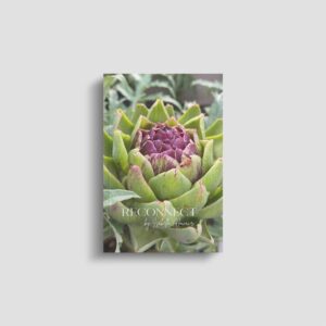 Ebook RECONNECT